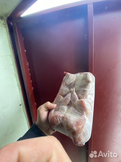 Перепелки тушки