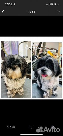 Услуги грумера