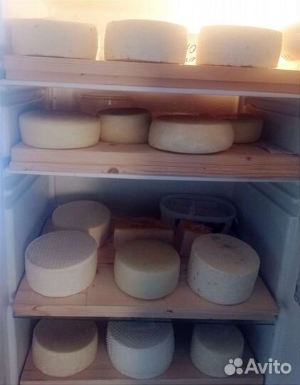 Сыр домашний козий, качетта