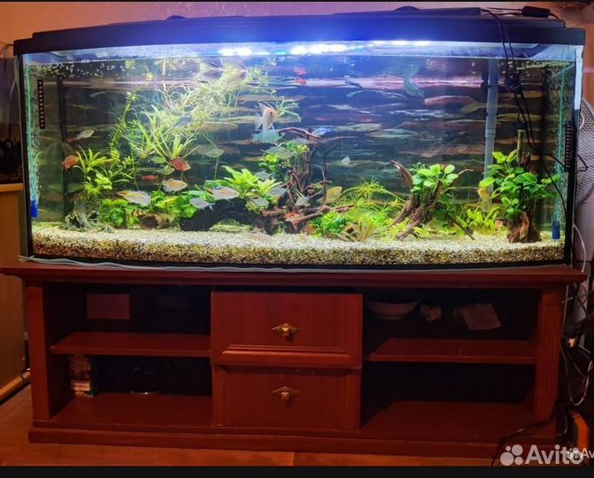Аквариум 429 литров