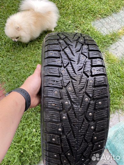 Nokian Tyres Nordman 7 205/55 R16