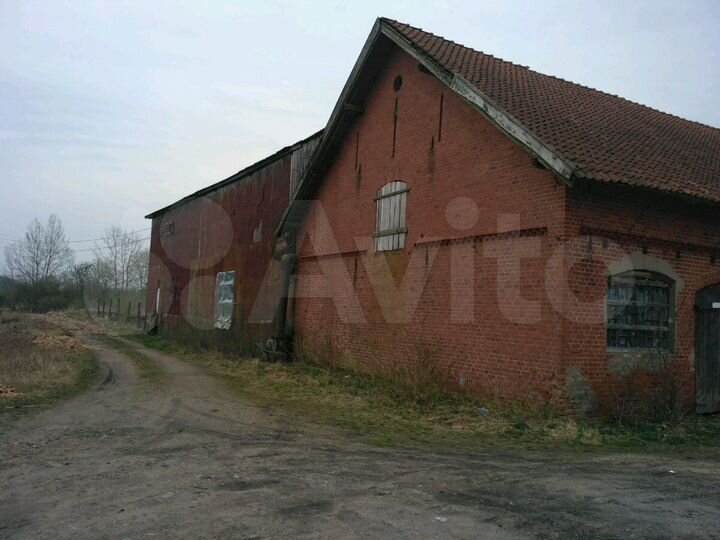 Цех лесопиления