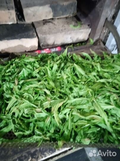 Продажа иван чая