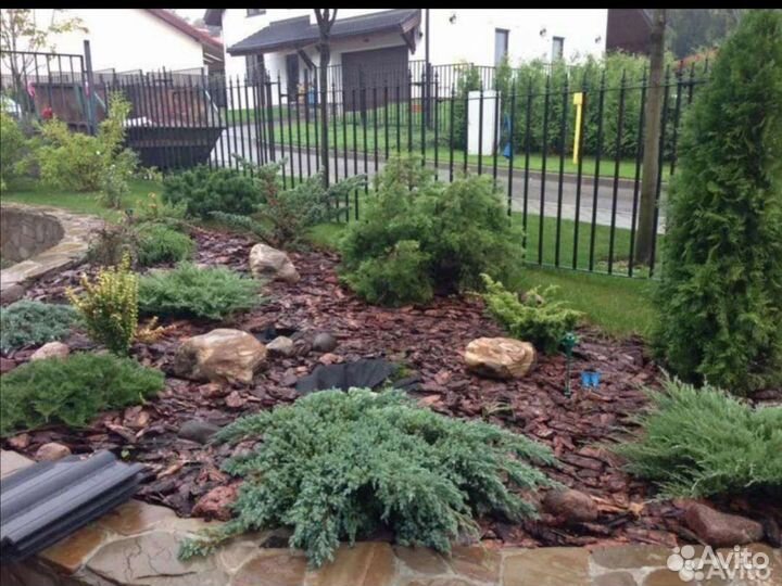 Кора лиственницы