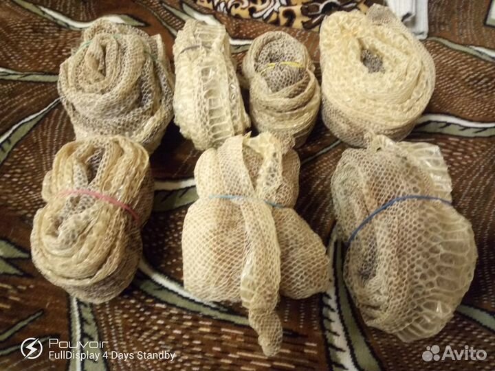 Выползки змей