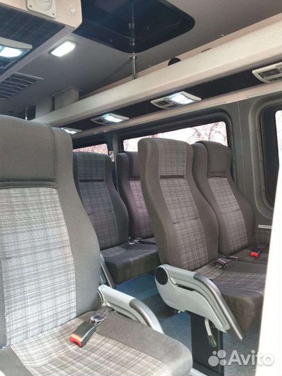 Экскурсии по Абхазии, Сочи и Красной Поляне