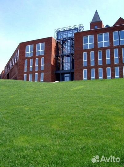 Рулонный газон от производителя - укладка