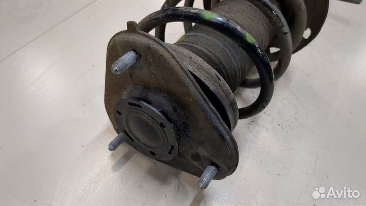 Амортизатор подвески Toyota C-HR, 2021