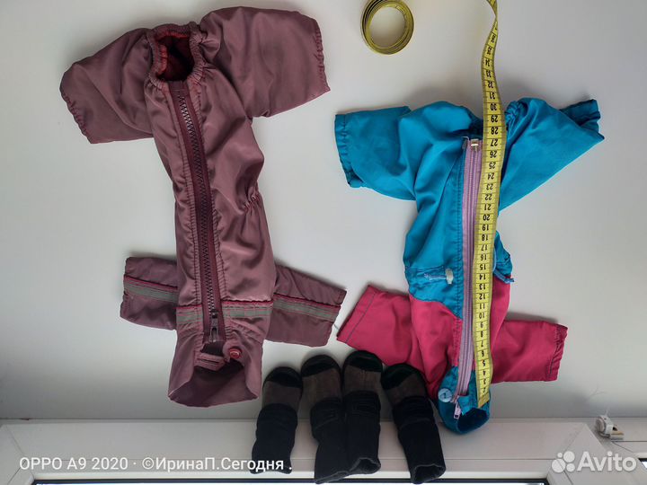 Одежда и обувь для собак