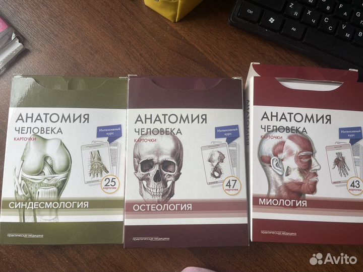 Карточки анатомия человека