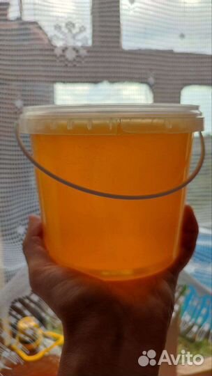 Мёд донниковый 2023г