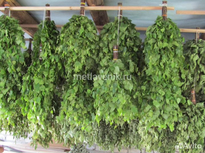Продам берёзовые веники