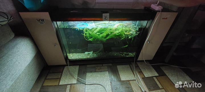Аквариум