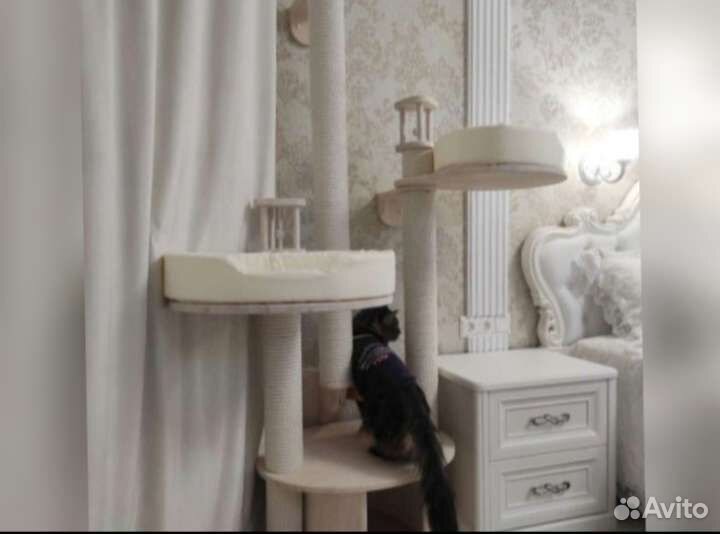 Игровой комплекс с домиком и когтеточкой