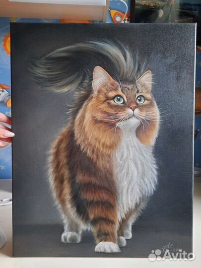 Картина маслом. Котик