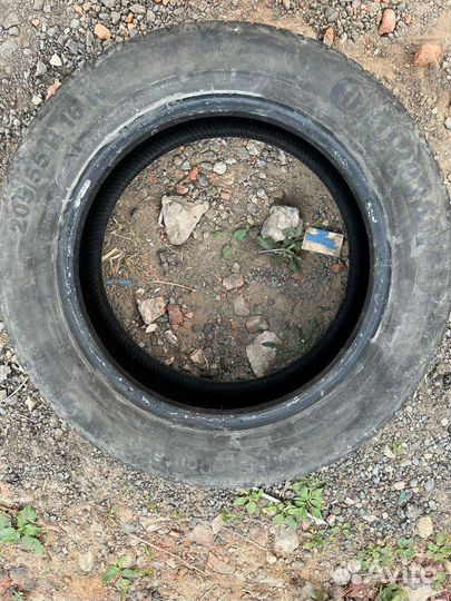 Continental ContiEcoContact 5 205/55 R16