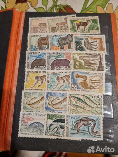 Марки в альбомах коллекции