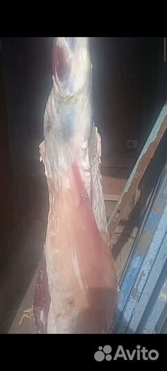 Мясо Халяль