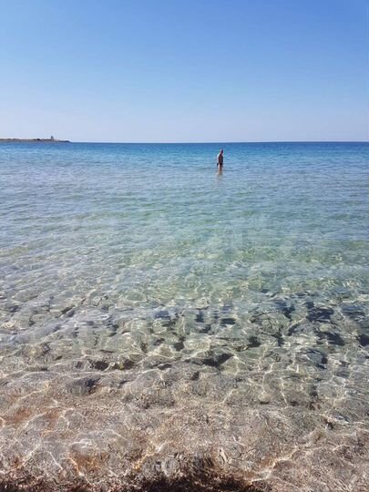 Дом 240 м² на участке 10 сот.