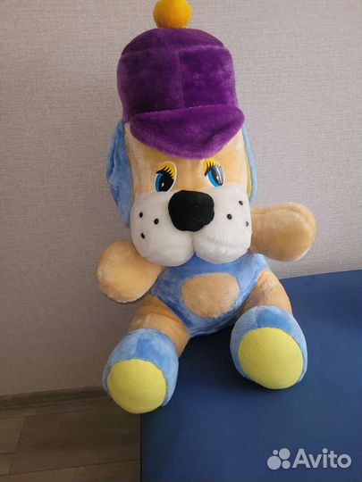 Собака