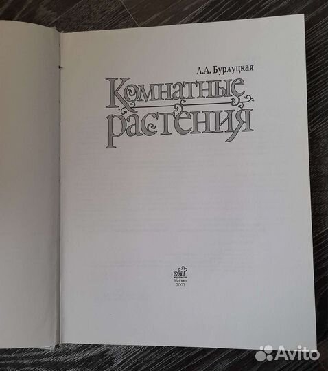 Комнатные растения, А. Бурлуцкая