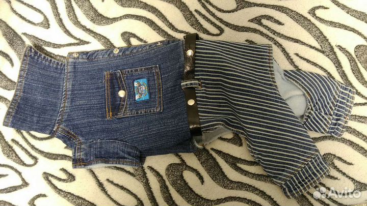 Одежда для собак