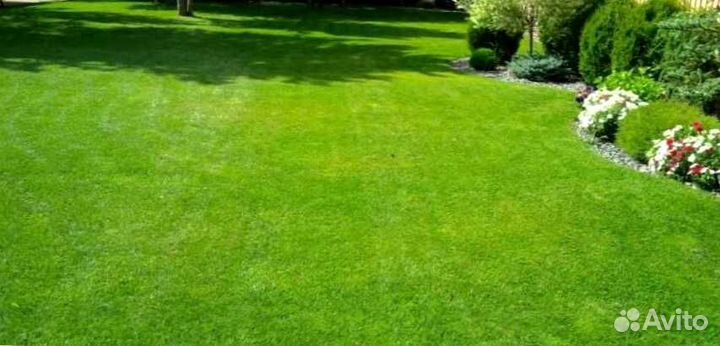 Газон. Семена мешок 10 кг