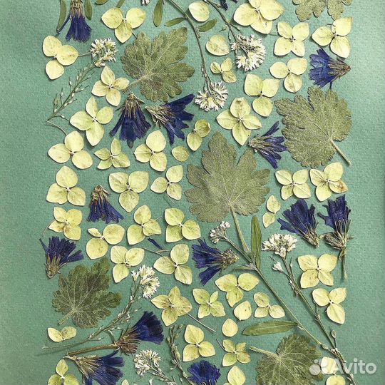 Картина из сухоцветов