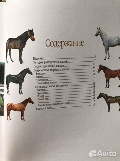 Книги про лошадей