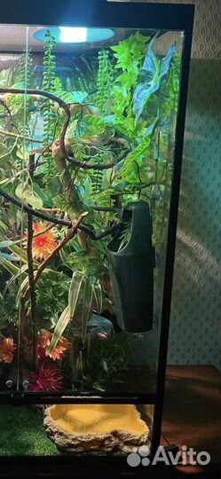 Фонтан, поилка для рептилий