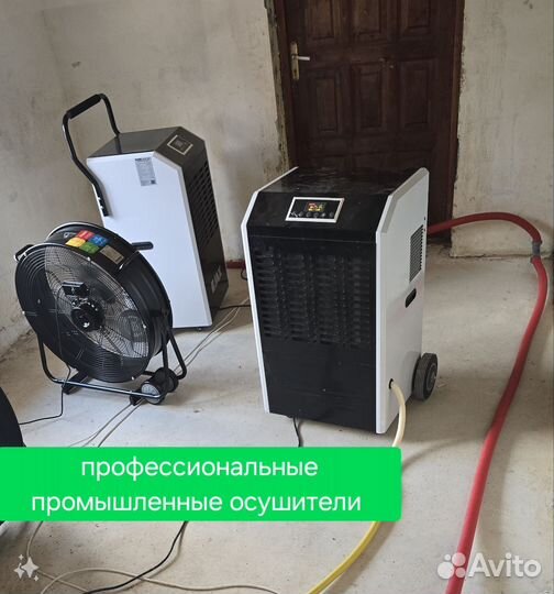 Осушение квартир, домов