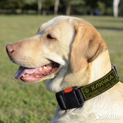 Патч на липучке для ошейника собаки