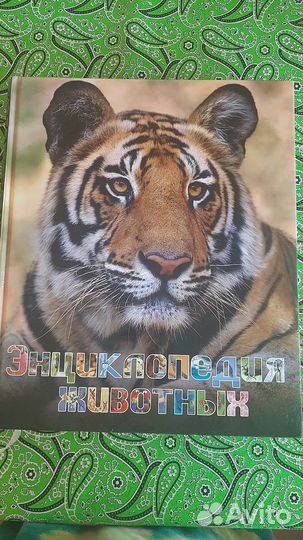 Роскошные энциклопедии