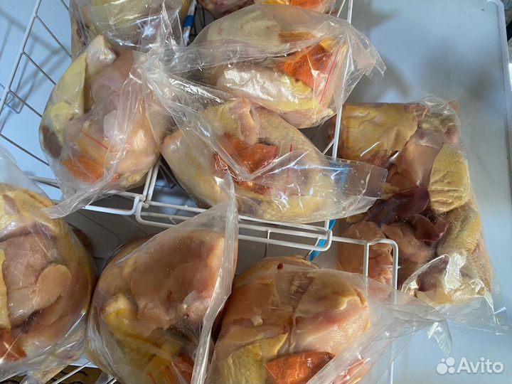 Куры бройлеры тушки мясо