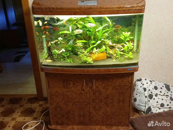 Аквариум jebo 200л