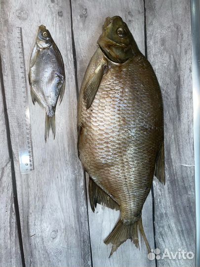 Крупный лещ. Рыба оптом. Ассортимент