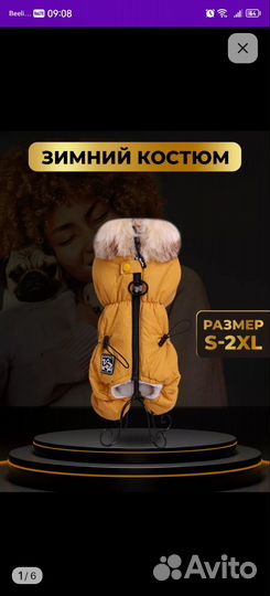 Комбинезон для собак мелких пород