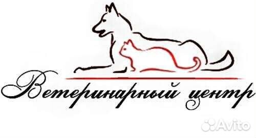 Ветеринарный врач