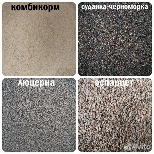 Семена люцерны,суданки,эспарцета
