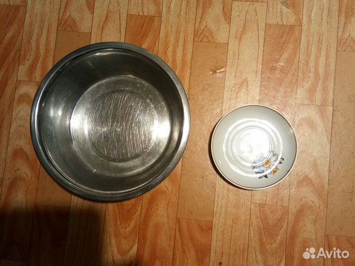 Ножницы и 2 миски,поводок 2 шт