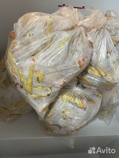 Куриные лапы