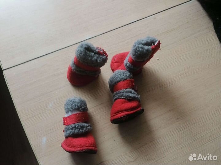 Сапожки для собак мелких пород