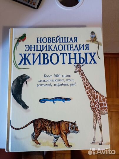 Энциклопедия для детей