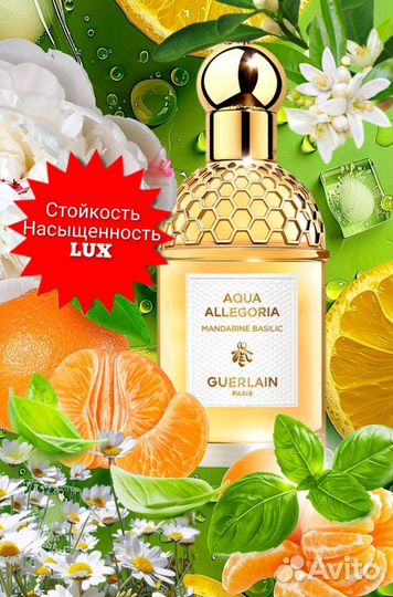 Aqua allegoria Mandarine Basilic Стойкий парфюм