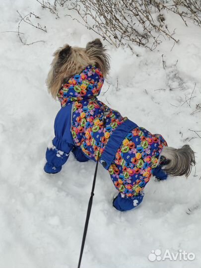 Изготовление комбинезонов для собак и кошек