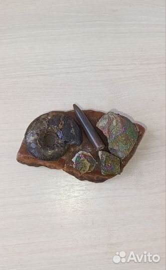 Композиция на симбирците 5 