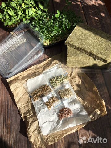 Набор для выращивания микрозелени