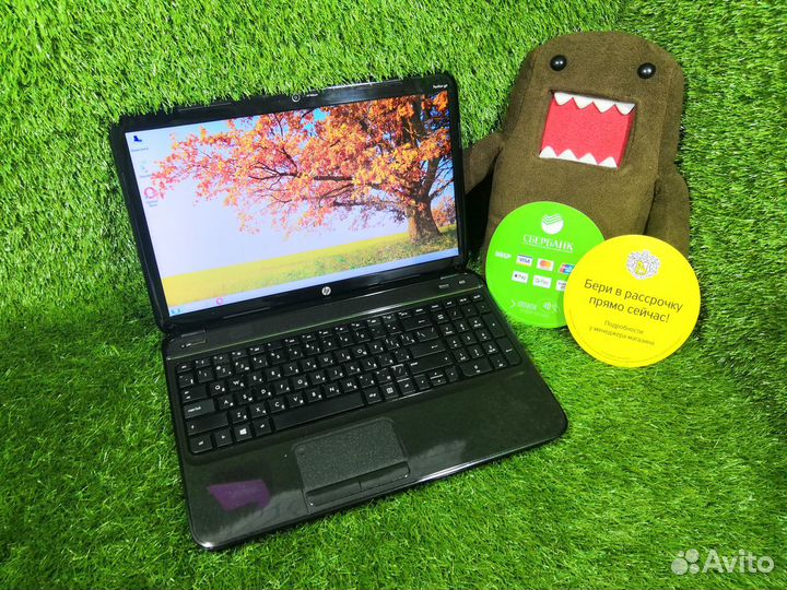 HP на AMD для игр, работы и учёбы.Гарантия