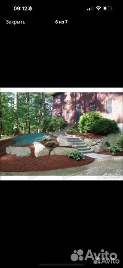 Скорлупа Кедрового Ореха Мулча