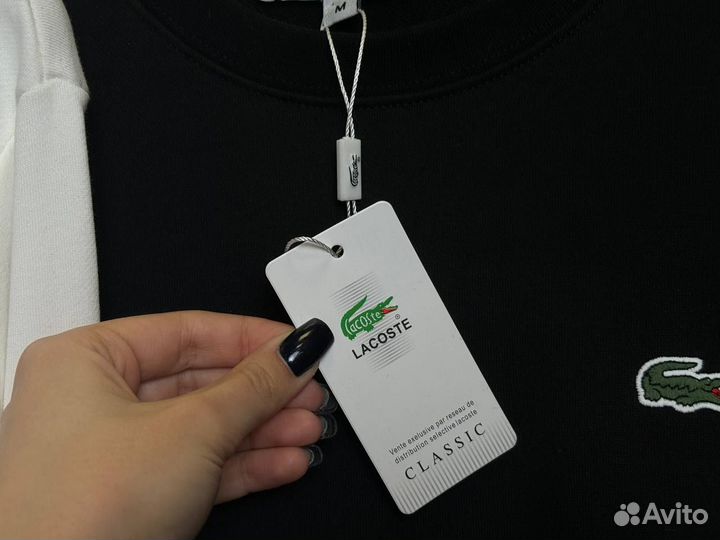 Свитшот Lacoste Мужской Оригинал-качество